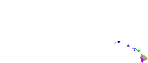 Hawaii House of Representatives congressional district map, current